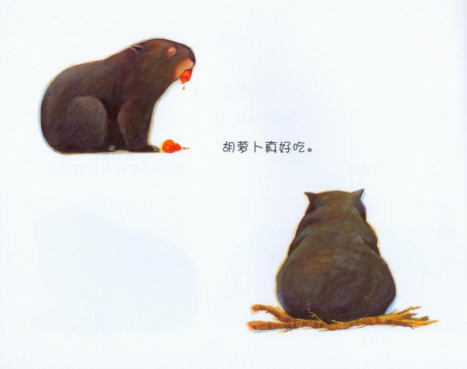 袋熊日记 (10),绘本,绘本故事,绘本阅读,故事书,童书,图画书,课外阅读